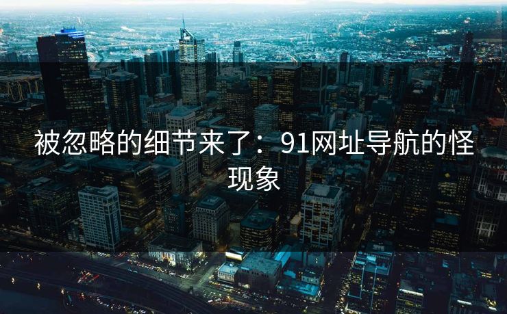 被忽略的细节来了：91网址导航的怪现象