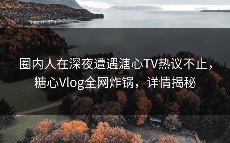 圈内人在深夜遭遇溏心TV热议不止，糖心Vlog全网炸锅，详情揭秘