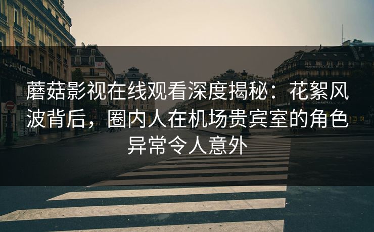 蘑菇影视在线观看深度揭秘：花絮风波背后，圈内人在机场贵宾室的角色异常令人意外